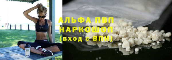 сатива Каменка