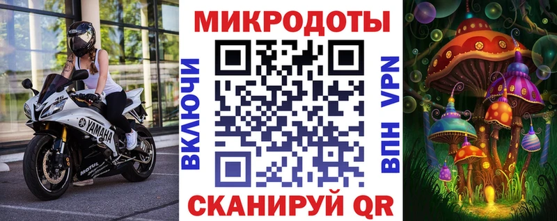 Псилоцибиновые грибы GOLDEN TEACHER  Сосновый Бор 